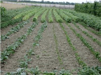 e718f6f8-Picture 049.jpg